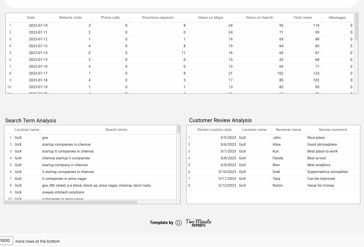 Google My Business - Search Analysis and Reviews Report