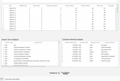 Google My Business - Search Analysis and Reviews Report