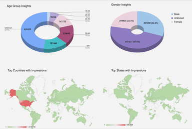 Microsoft/Bing Ads - Campaign and Ad Analysis Report