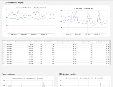 Amazon Seller - Sales and Traffic Business Report