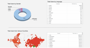 Google Analytics 4 - Audience Demographic Insights