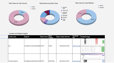 Google My Business - Review Rating and Location Media Insights