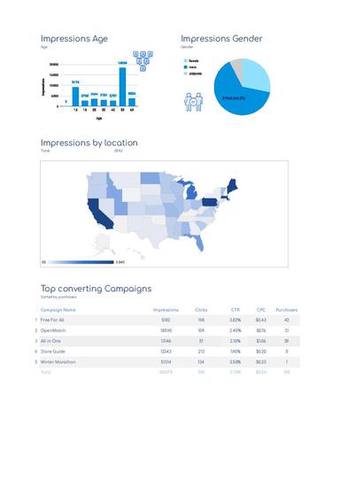 Website Purchases Report