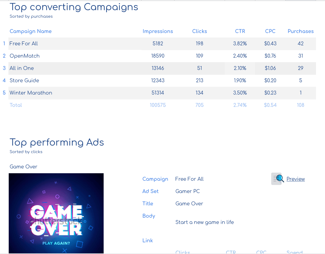 Website Purchases Report