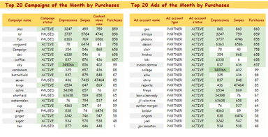 SnapAds Monthly Performance Dashboard