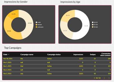 Snapchat Ads - 32 Days Performance Overview 