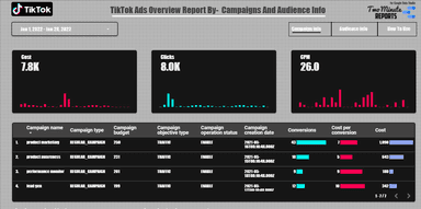 TikTok Ads Overview - Campaign and audience info