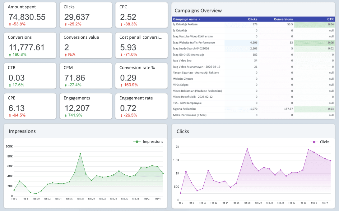 Google Ads Overview Report