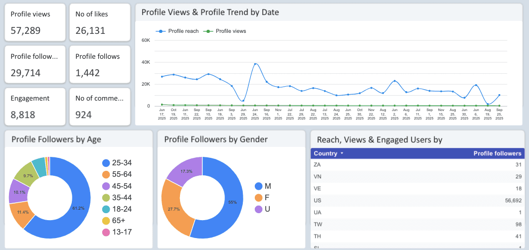 Instagram Insights Dashboard