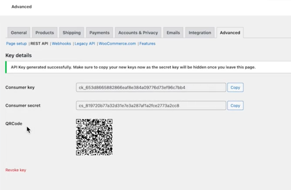 API key and secret displayed