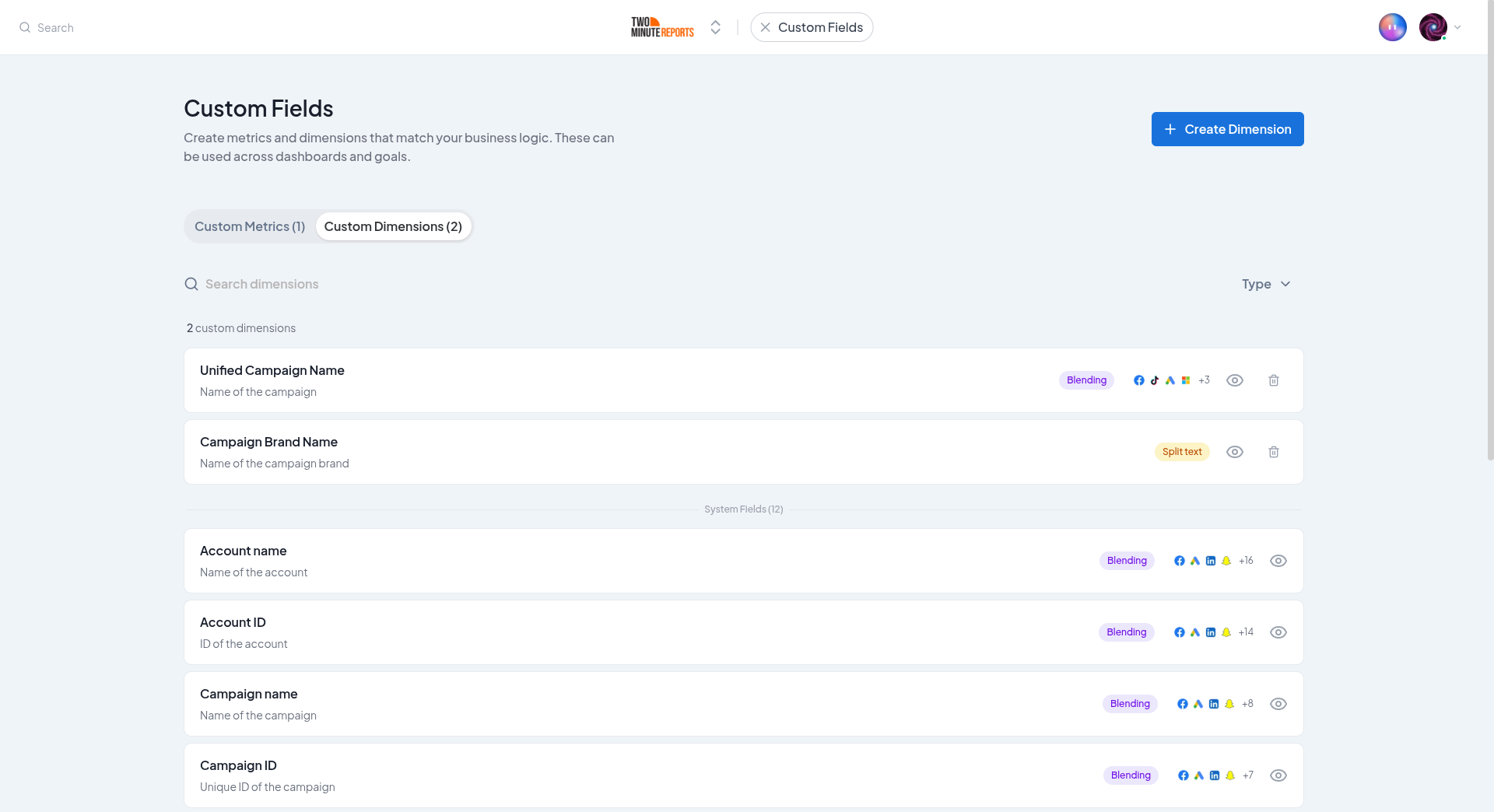 Custom Fields page with the Custom Metrics and Custom Dimensions tabs